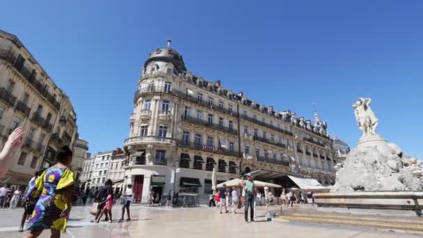 Montpellier Frankrike Augusti 2023 Magnifik Historisk Haussmannisk Byggnad Och Tre — Stockvideo