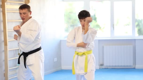 Pelajaran Karate Individu Untuk Remaja Posisi Bertarung Remaja Dan Pelatih — Stok Video