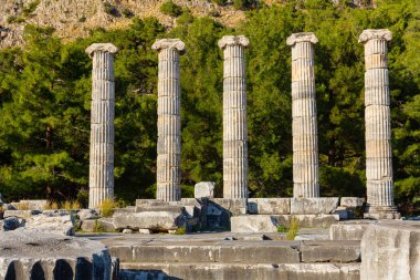 Ruins of Temple of Athena in ancient Greek city of Priene overlooking five reconstructed columns on sunny winter day, Turkey clipart
