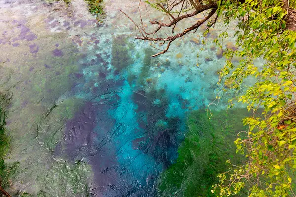 Agua Turquesa Transparente Transparente Una Piscina Profunda Manantial Kárstico Natural —  Fotos de Stock