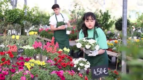Konzentrierte Junge Asiatinnen Lässiger Kleidung Wählen Beim Garteneinkauf Modernen Gewächshaus — Stockvideo