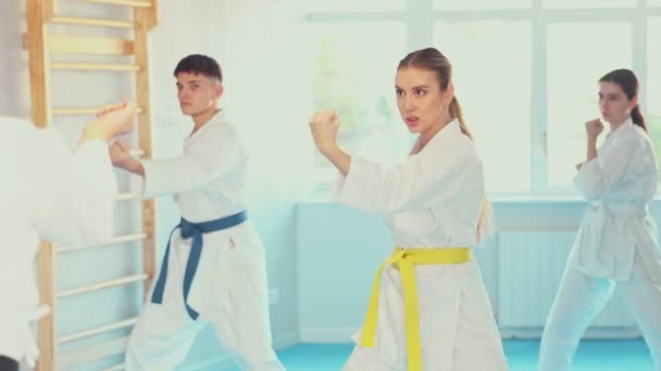 Team Von Sportlern Kimonos Probiert Neue Kampftechniken Karate Unterricht Aus — Stockvideo