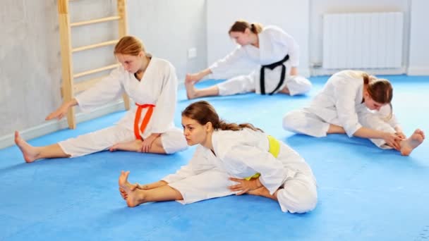 Group Teenage Girls White Kimono Stretching Karate Judo Training High — Stock Video