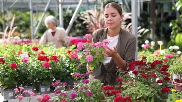 Bahçe Mağazasının Yanındaki Vitrin Vitrinindeki Kıza Dokunur Büyülenir Dekoratif Yarı — Stok video
