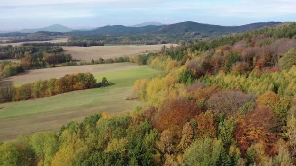 Malebný Pohled Krajinu Barevnými Stromy Svazích Podzimního Dne Vysoce Kvalitní — Stock video