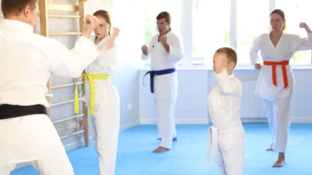 Kimonolu Renkli Kemerli Bir Çocuk Spor Salonunda Grup Dövüş Sanatları — Stok video