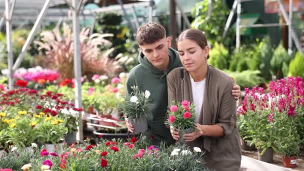 Trhu Květin Mega Mladí Manželé Krajinář Pohled Zvažuje Zkoumá Dianthus — Stock video