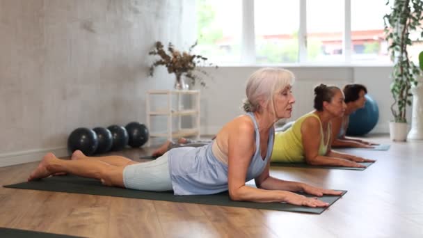 Mini Yaşlı Insanlar Spor Stüdyosunda Pilates Yapıyor Kıdemli Kadınlar Asana — Stok video