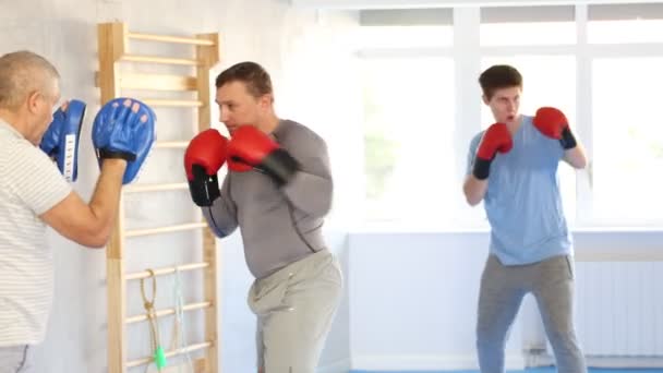 Koncentreret Sporty Mand Boksehandsker Praktiserende Selvforsvarsteknikker Gymnastiksalen Smide Slag Fokusluffer – Stock-video