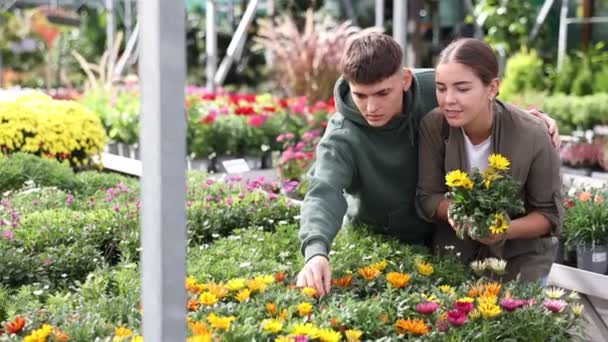 Couple Young Guy Young Woman Buyers Choose Gazania Hybrida Pot — Stok video
