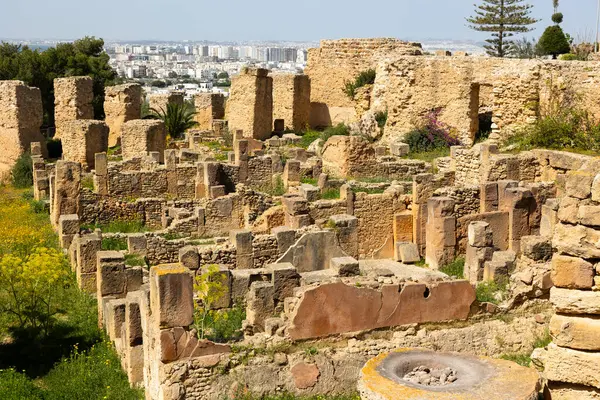stock image Ruins of the house of Hannibal at the excavations of Carthage