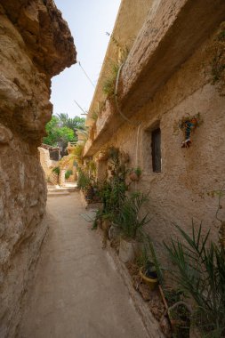 Narrow alleyway with weathered earthen houses adorned with potted plants in serene setting of ancient Tunisian village in greenery of Tamerza oasis.. clipart