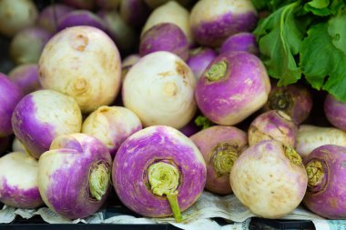 Closeup of pile of purple turnips in boxes at the farmers market clipart