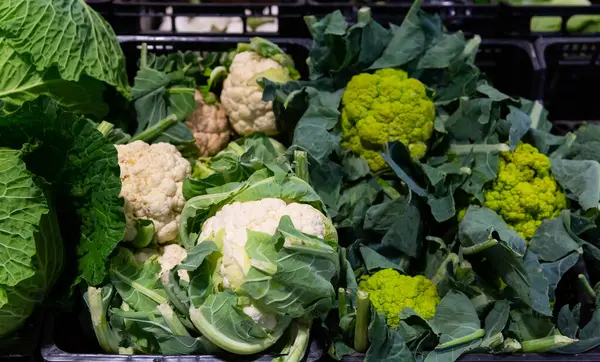 stock image Assortment of fresh vegetables in plastic crates in supermarket. Green and white cauliflower, broccoli and cabbage for sale..