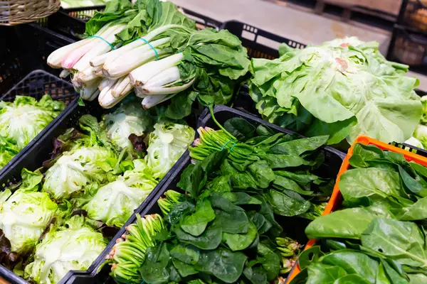 stock image Closeup of fresh leafy greens in plastic crates in supermarket. Chard leaves, lettuce and spinach for sale