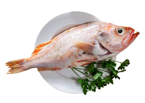 stock image Whole raw red sea bream on white plate surrounded by fresh parsley, garlic, onion, and olive oil prepared for cooking on wooden table surface. Seafood delicacy. Isolated over white background