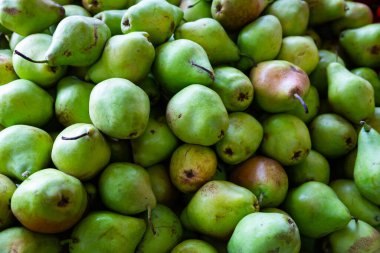 Fresh green pears as background. Closeup view of organic fruits.. clipart