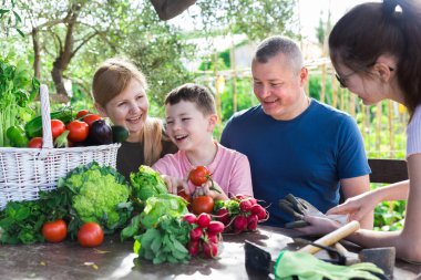 Parents with children relax at rustic table after harvesting ripe vegetables clipart