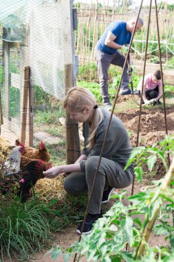 Positive female farmer squatting near aviary, checking poultry in her husbandry clipart