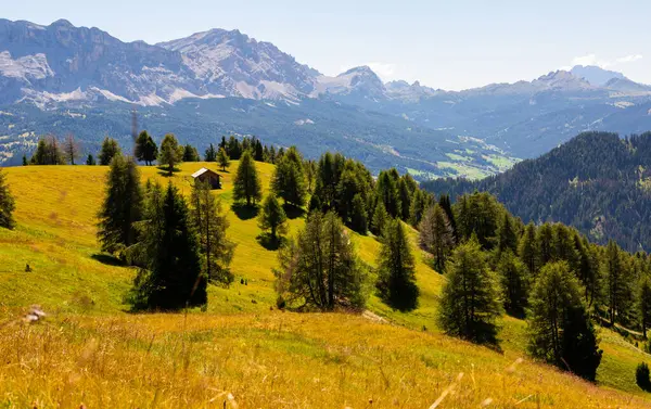 stock image Breathtaking scenery featuring rocky mountain peaks framed by greenery of sprawling alpine meadow and verdant woodlands on sunny summer day. Enchanting nature of Dolomites, Italy