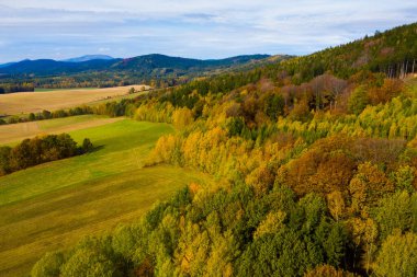 Picturesque view of country landscape with colorful trees on hillsides in autumn day clipart