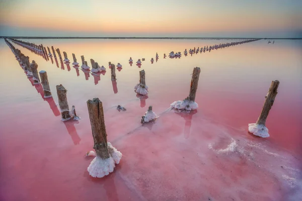 湖中柱子上的海盐 独特的自然组成 — 图库照片