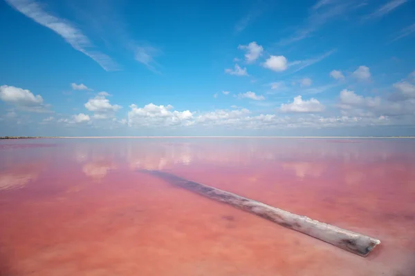 Морське Солоне Озеро Вдень Унікальна Композиція Природи — стокове фото