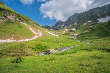 Landscape of green valley in mountain. Composition of nature.