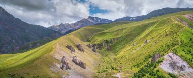 Landscape of green valley in mountain. Composition of nature.