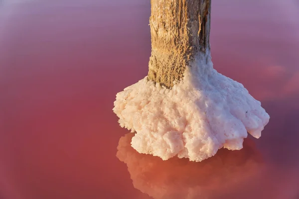 湖の列に海塩 独特の自然構成 — ストック写真