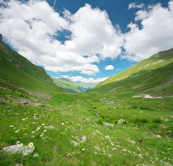 Grünes Bergtal Naturlandschaft — Stockfoto