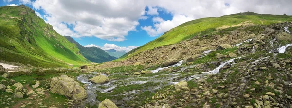 緑の夏の山の中で水の流れ 大自然のパノラマシーン — ストック写真