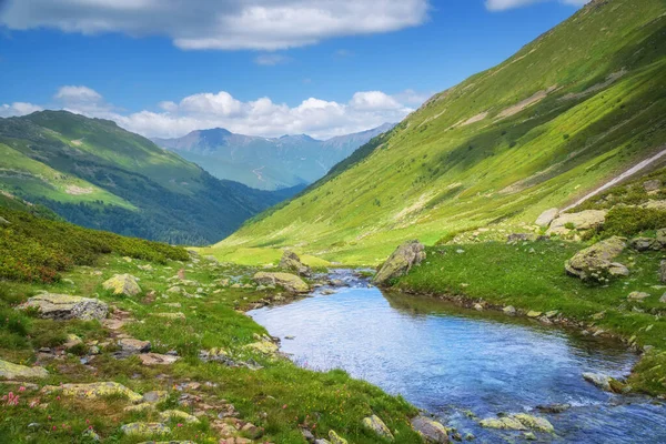 Καθαρό Ποτάμι Στην Κοιλάδα Του Βουνού Σύνθεση Φυσικού Τοπίου — Φωτογραφία Αρχείου