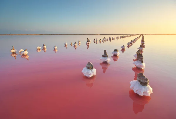 Sea Salt Columns Lake Unique Nature Composition — Stock Photo, Image