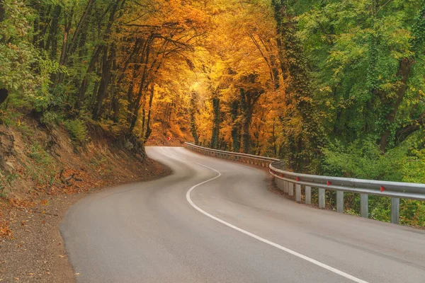 Road Autumn Nature Composition — Stock Photo, Image