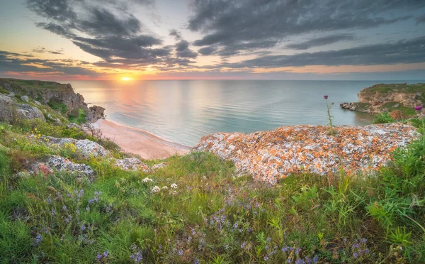Zonsondergang Het Strand Zeegezicht Natuur Compositie Lucht Zee Groen Gras — Stockfoto