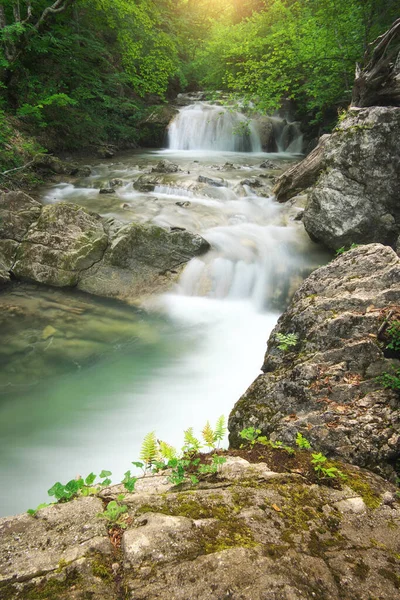 Flujo Cascada Primavera Composición Natural —  Fotos de Stock