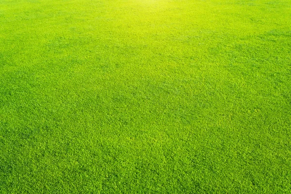 Green Grass Background Texture Element Design — Stock Photo, Image