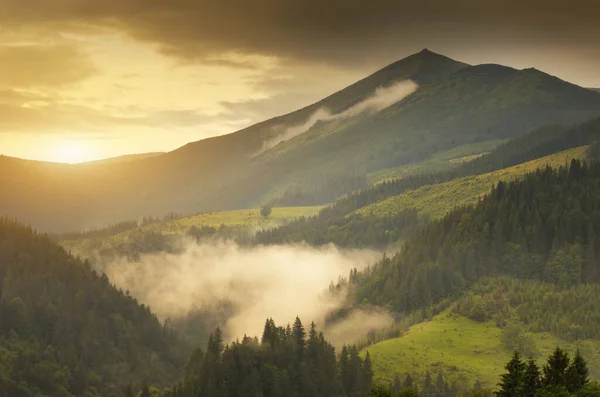 Carpathian Mountain Range Early Morning Sunrise Beautiful Nature Landcape — Stock Photo, Image