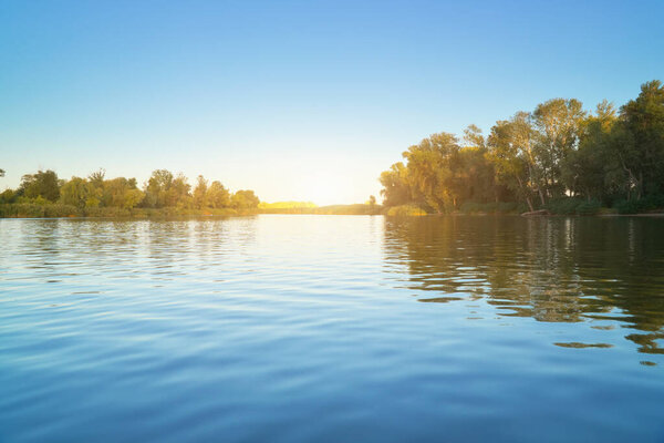 River and spring forest. Nature compositon.