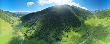 Dağ vadisindeki bahar nehri. Doğa bileşimi.