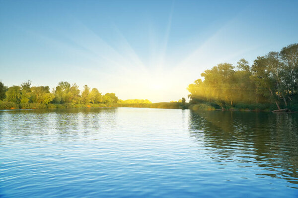 River and spring forest. Nature compositon.
