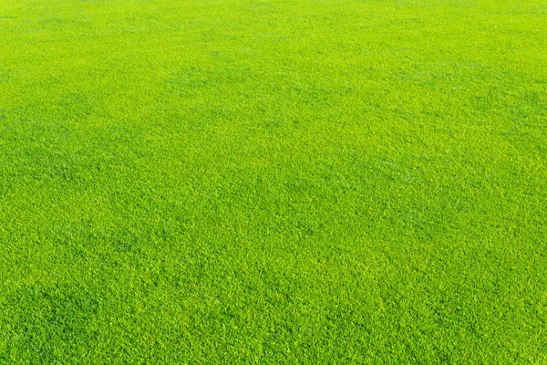 绿草背景质感 设计要素 — 图库照片