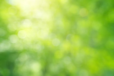 Yeşil bokeh doğa geçmişi. Tasarım Elemnt.