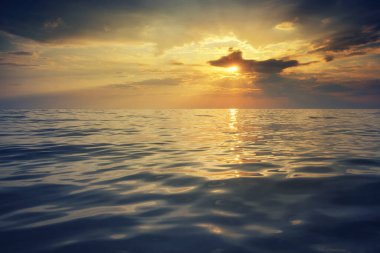 Yolda yanmış araba 