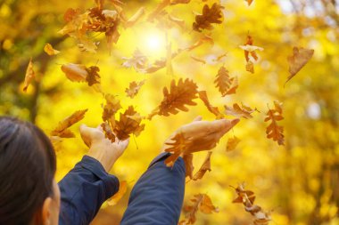 Dişi eller düşen sonbahar yapraklarını yakalamaya çalışır. Duygusal sahne.