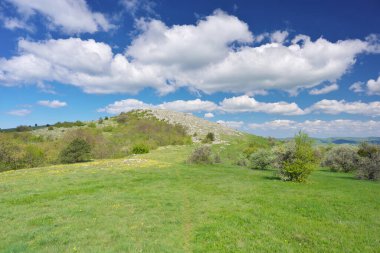 Dağ çayırında güneşli bir gün. Güzel manzara kompozisyonu.