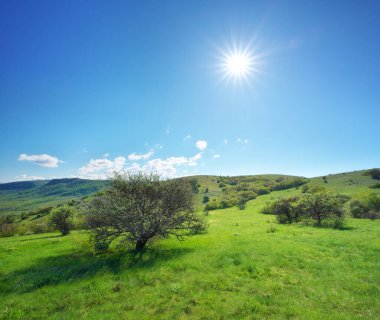 Dağ çayırında güneşli bir gün. Güzel manzara kompozisyonu.