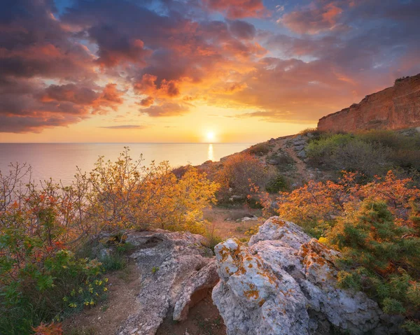 Vacker Vårnatur Och Havslandskap Vid Solnedgången Naturens Sammansättning — Stockfoto