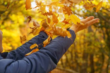 Dişi eller düşen sonbahar yapraklarını yakalamaya çalışır. Duygusal sahne.